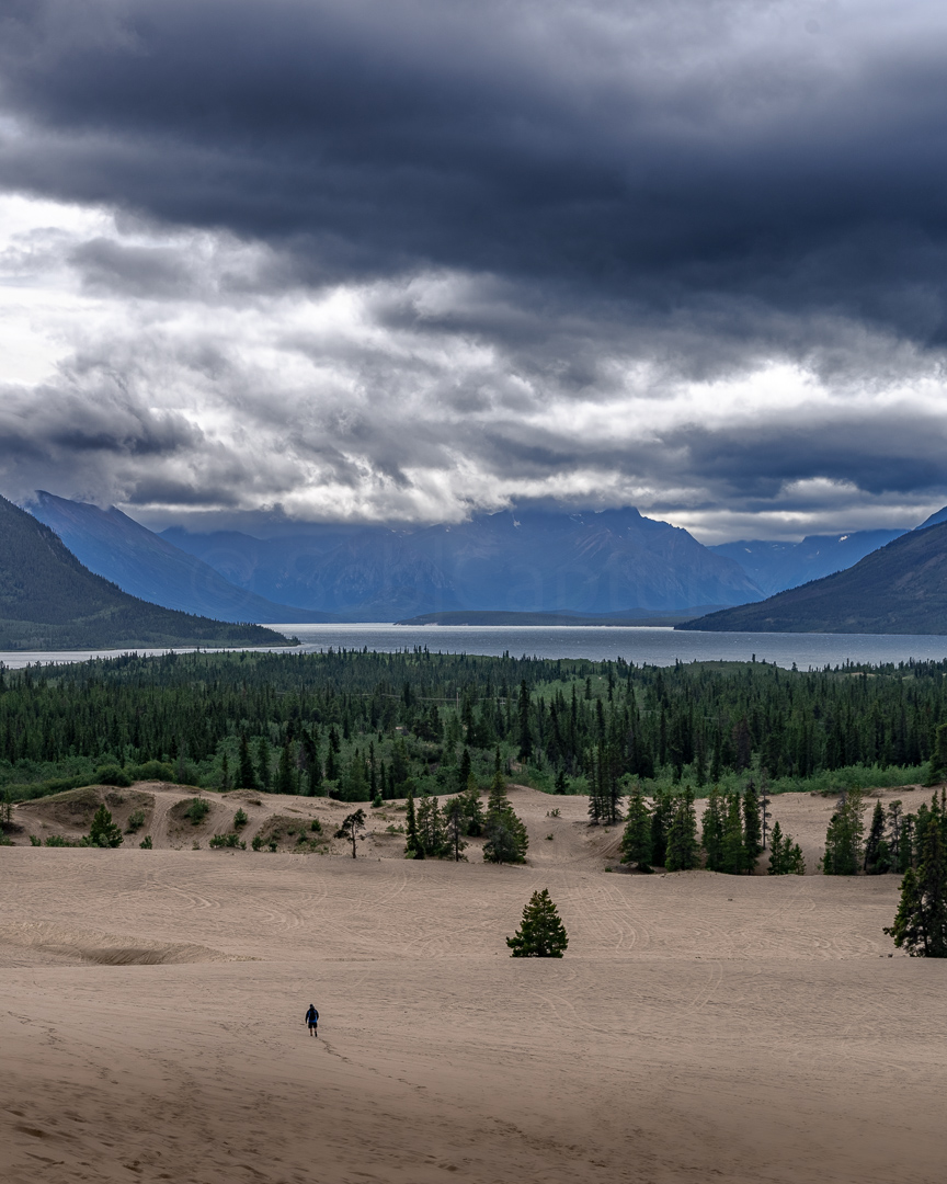 π
-βββββββββββ
Did you know that Canada has it's own deserts? Even Yukon has one! Carcross, all the way up North. Unlike other deserts, no lack of rain here.
β
πCarcross, Canada π¨π¦
β
πΈ @Seb_Capture
-βββββββββββ
.
.
.
.
#exploreyukon #yukonterritory #travelyukon #whitehorseyukon #yukongold #yukonlife #explorecanada #whitehorse #roadtripcanada #northernliving #travel_lovers #carcross #carcrossyukon #yukon #yukonterritory #carcrossdesert #deserts #deserto #dΓ©sert