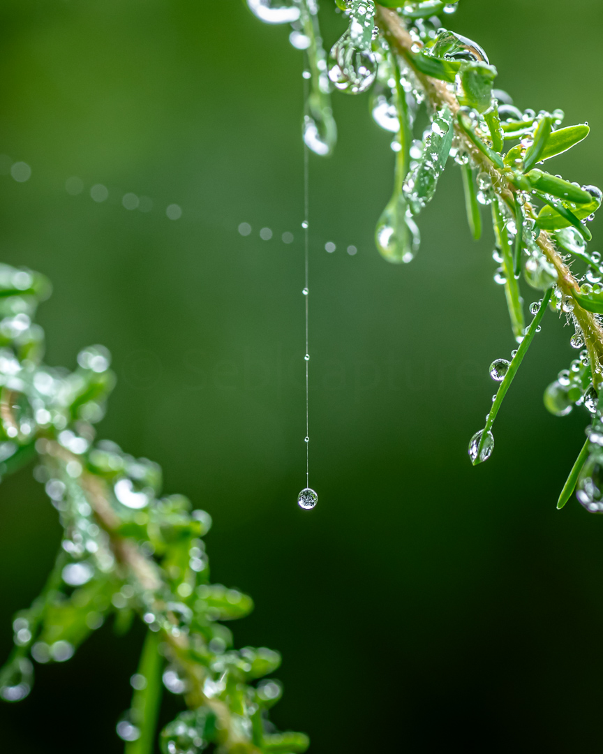 π
-βββββββββββ
Fall
β
πBritish Columbia, Canada π¨π¦
-βββββββββββ
.
.
.
.
#Raindrop #RainyDays #RainyWeather #RaindropsOnLeaves #RainyMood #RainyVibes #NatureLovers #WaterDroplets #RainySeason #PuddleJumping #RainyAfternoon #RainySky #WetWeather #RainyPhotography #CloudyDays #RainyDayFun #RaindropPhotography #RainyDayBlues #ChasingRaindrops #RainyAdventures