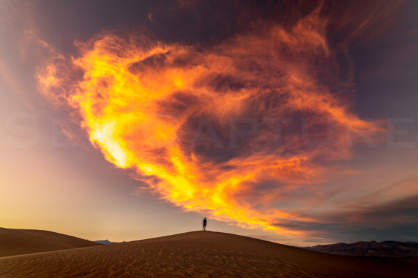Picture of a man standing on a sand dune, looking at an on-fire like sky.